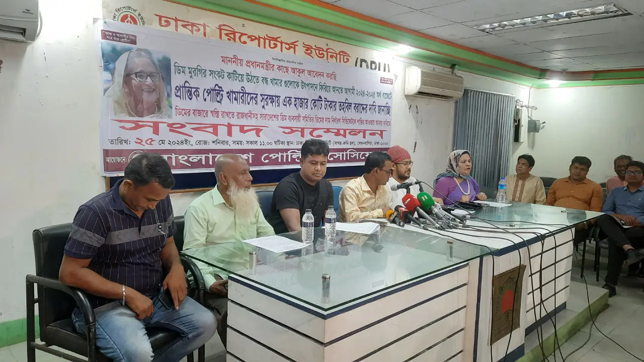 সিন্ডিকেট করে ডিমে কারসাজি করা হয়, ক্ষতিগ্রস্ত হন খামারিরা