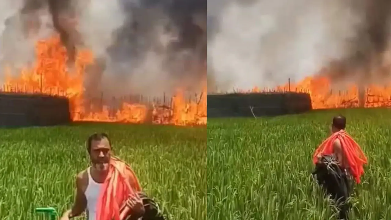 আগুনে পুড়ল ১০০ বিঘা জমির পানের বরজ
