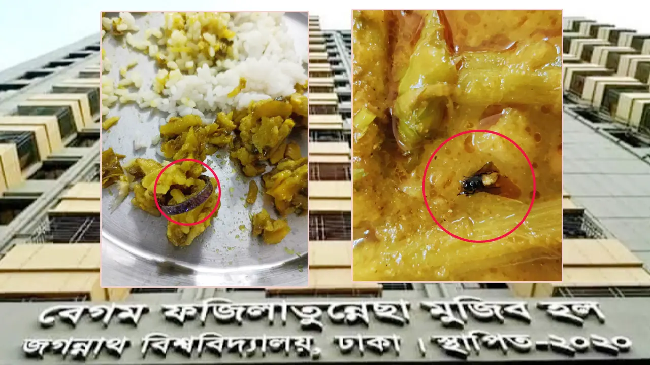 জবিতে হলের খাবারে তেলাপোকা-মাছি, ছাত্রীদের ক্ষোভ