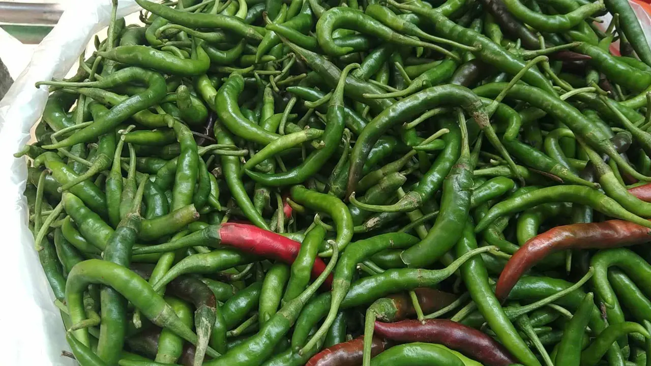 কাঁচামরিচের ডাবল সেঞ্চুরি