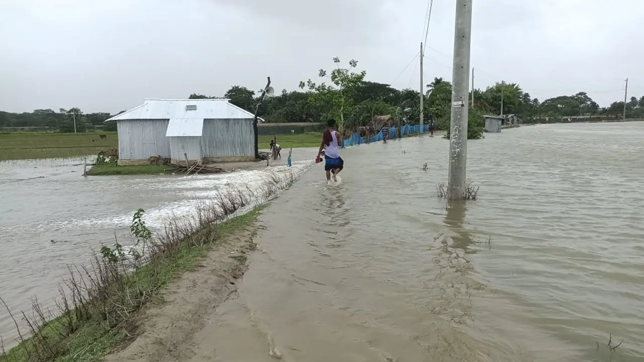 কলাপাড়ায় পুকুর ও ঘের তলিয়ে প্রায় ২৫ কোটি টাকার ক্ষতি