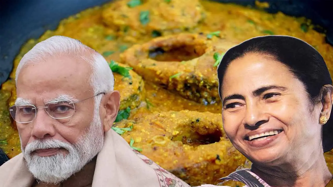 নিরামিষভোজী মোদিকে মাছ খাওয়ার নিমন্ত্রণ মমতার