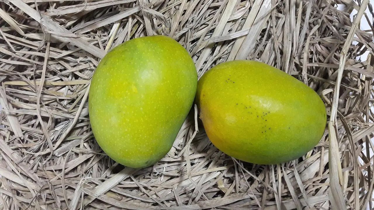 পাকা আম খাওয়ার ৫ উপকারিতা