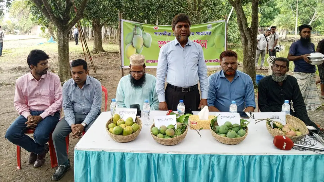 সাতক্ষীরায় আনুষ্ঠানিক আম সংগ্রহ শুরু