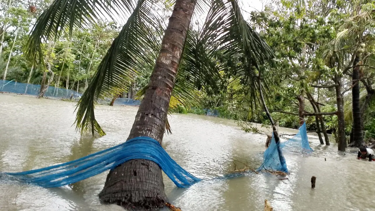 জোয়ারের পানিতে ভেসে গেল নিঝুমদ্বীপের অর্ধকোটি টাকার মাছ