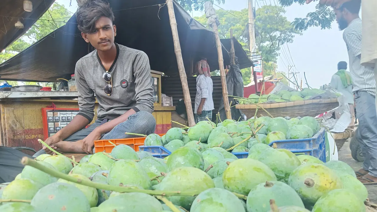 রাজশাহীর বানেশ্বরে জমেনি আমের হাট