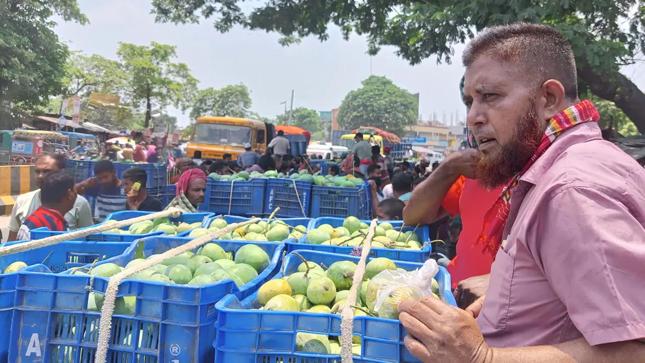 গোপালভোগে জমেছে আমের হাট, প্রতি মণে দাম বেড়েছে হাজার টাকা