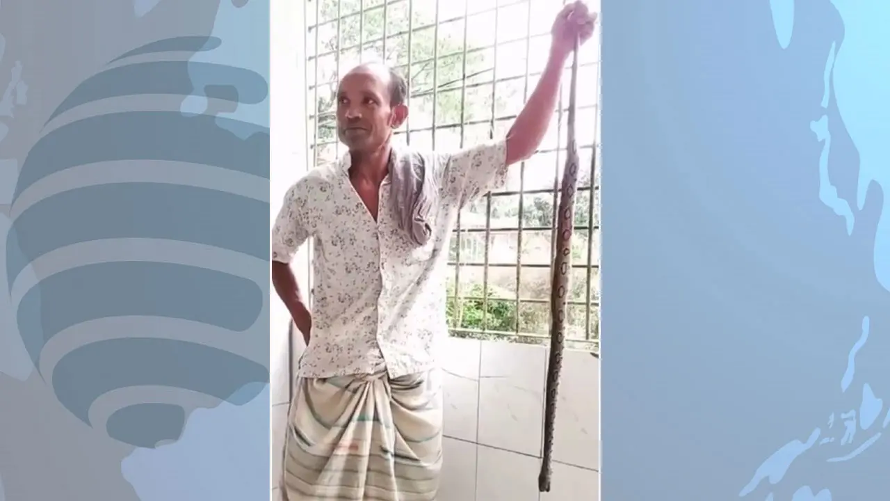 কামড় খেয়ে রাসেলস ভাইপার নিয়েই হাসপাতালে কৃষক