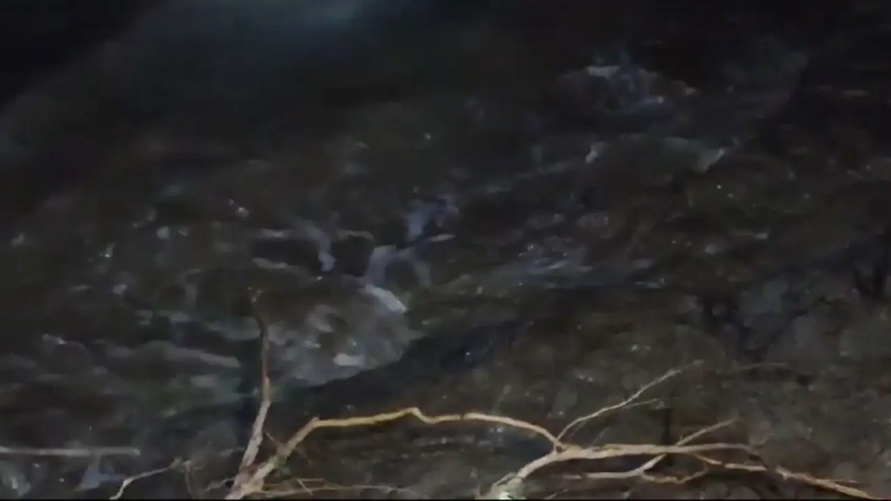 খুলনায় ঘূর্ণিঝড় রেমালের তাণ্ডব, ৮-১০ ফুট জলোচ্ছ্বাসের শঙ্কা