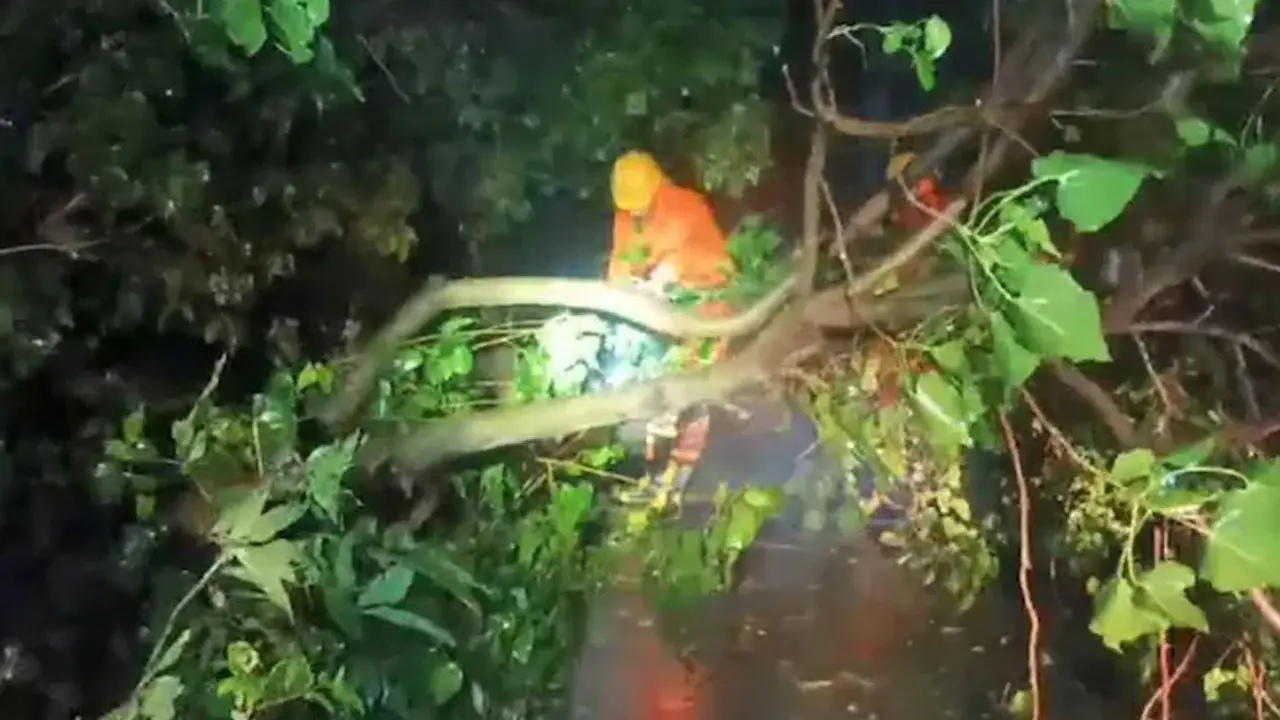 পশ্চিমবঙ্গে রাতভর রেমালের তাণ্ডব, ব্যাপক ধ্বংসযজ্ঞ