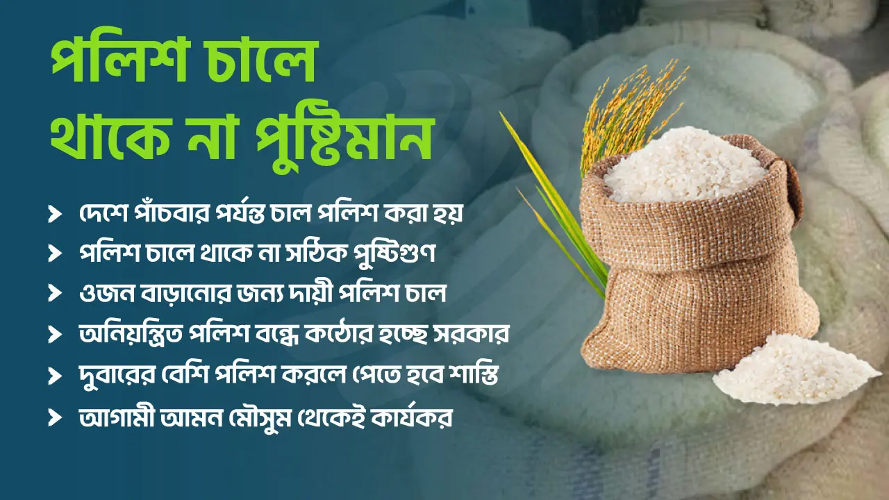 ওজন বাড়ছে পলিশ চালে, থাকে না পুষ্টিগুণও