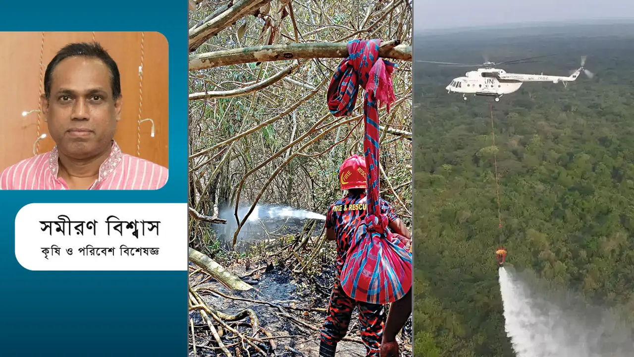 দেশের ‘ফুসফুস’ সুন্দরবনে বারবার আগুন লাগে কেন?