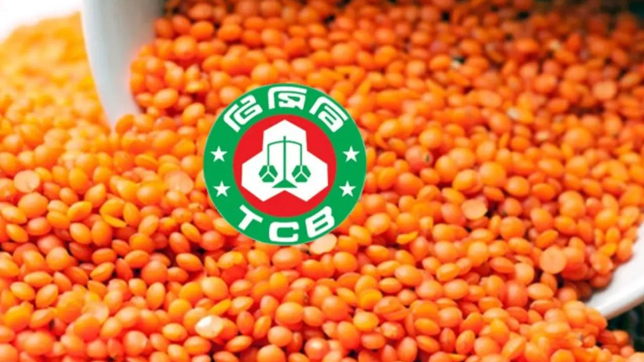 টিসিবির জন্য ১০ হাজার টন মসুর ডাল কিনছে সরকার