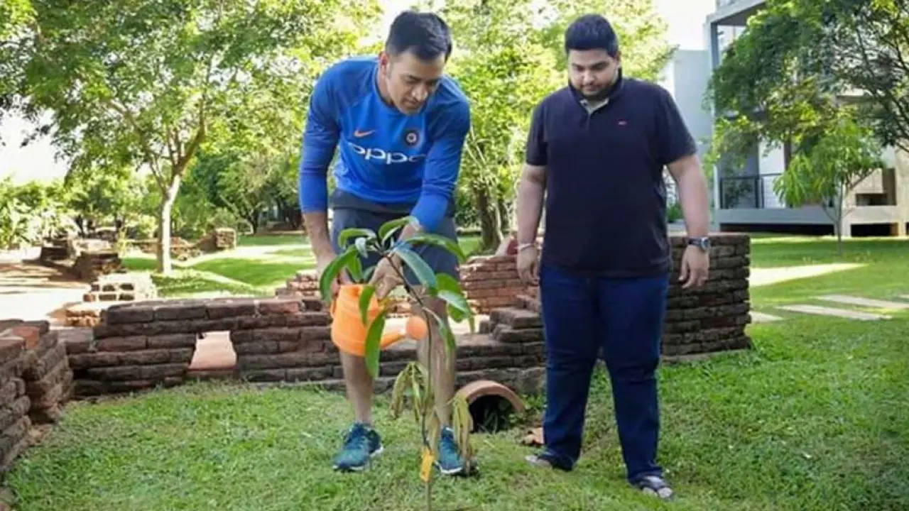 আইপিএলে ডট বলের কারণে দেড় লাখ গাছ লাগাবে বিসিসিআই