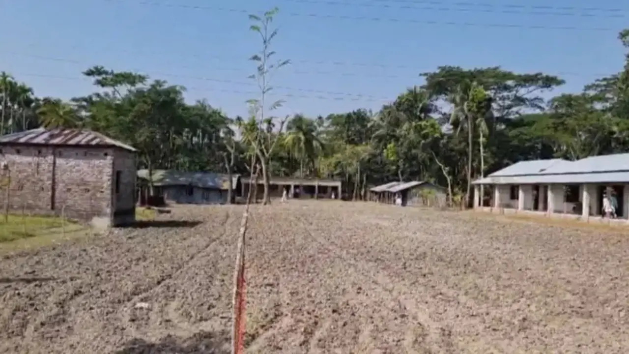 খেলার মাঠ আলু চাষের জন্য প্রস্তুত করলেন মাদরাসা সুপার
