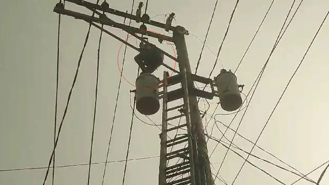 ১১ হাজার ভোল্টের খুঁটিতে উঠে পড়লেন মানসিক ভারসাম্যহীন যুবক