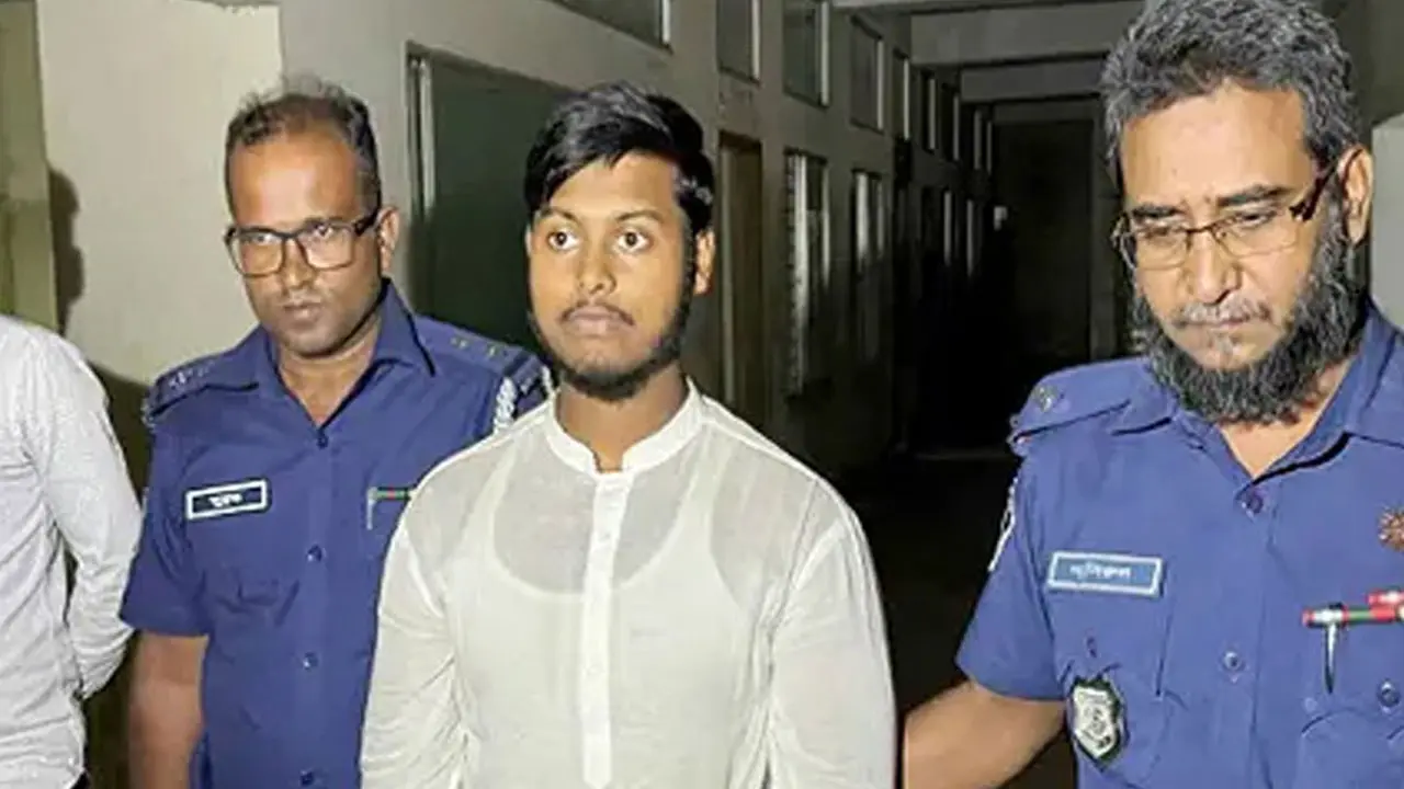 মাকে হত্যার অভিযোগে গ্রেপ্তার হওয়া ছেলে সাদের জামিন