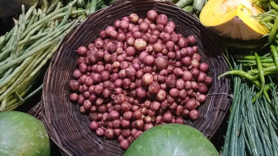 বাজারে এসেছে নতুন আলু, কেজি ২০০ টাকা