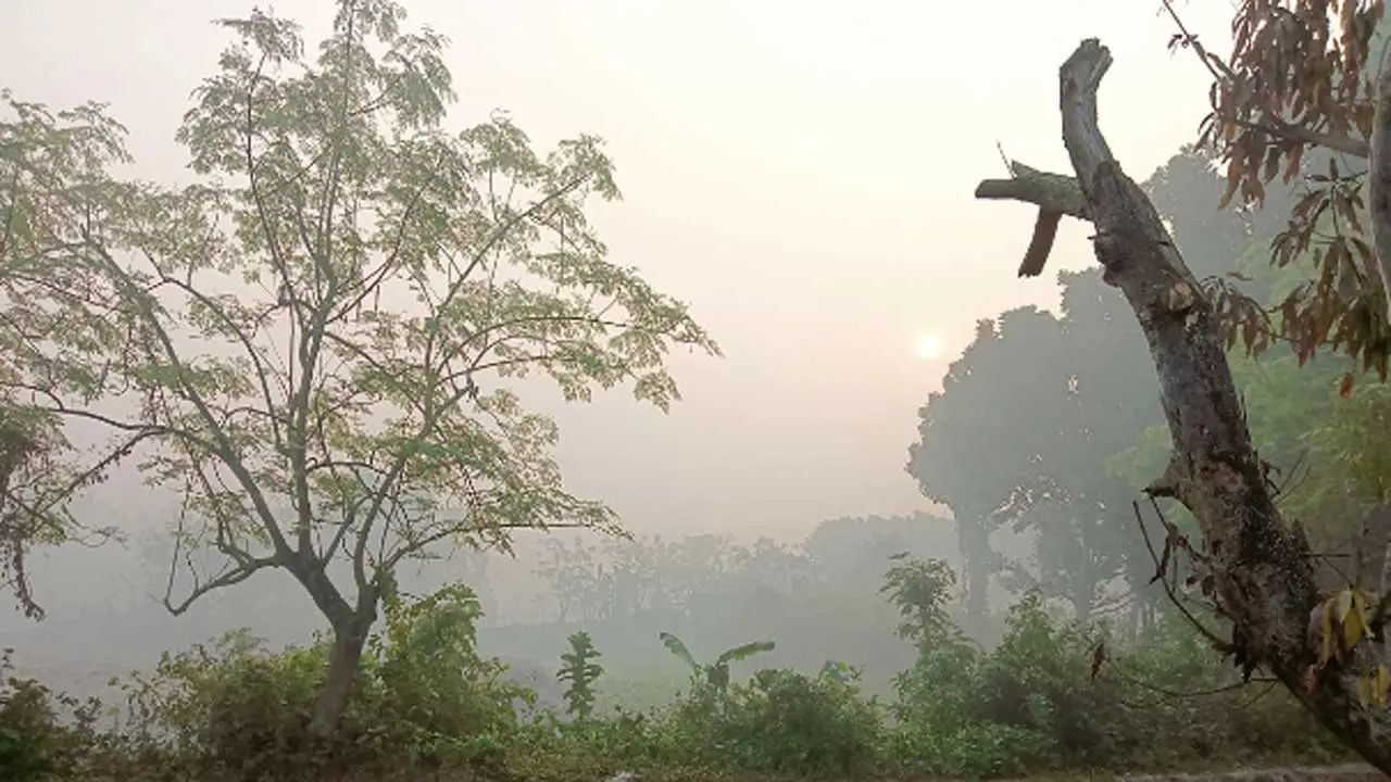 হালকা থেকে মাঝারি ধরনের কুয়াশার আভাস