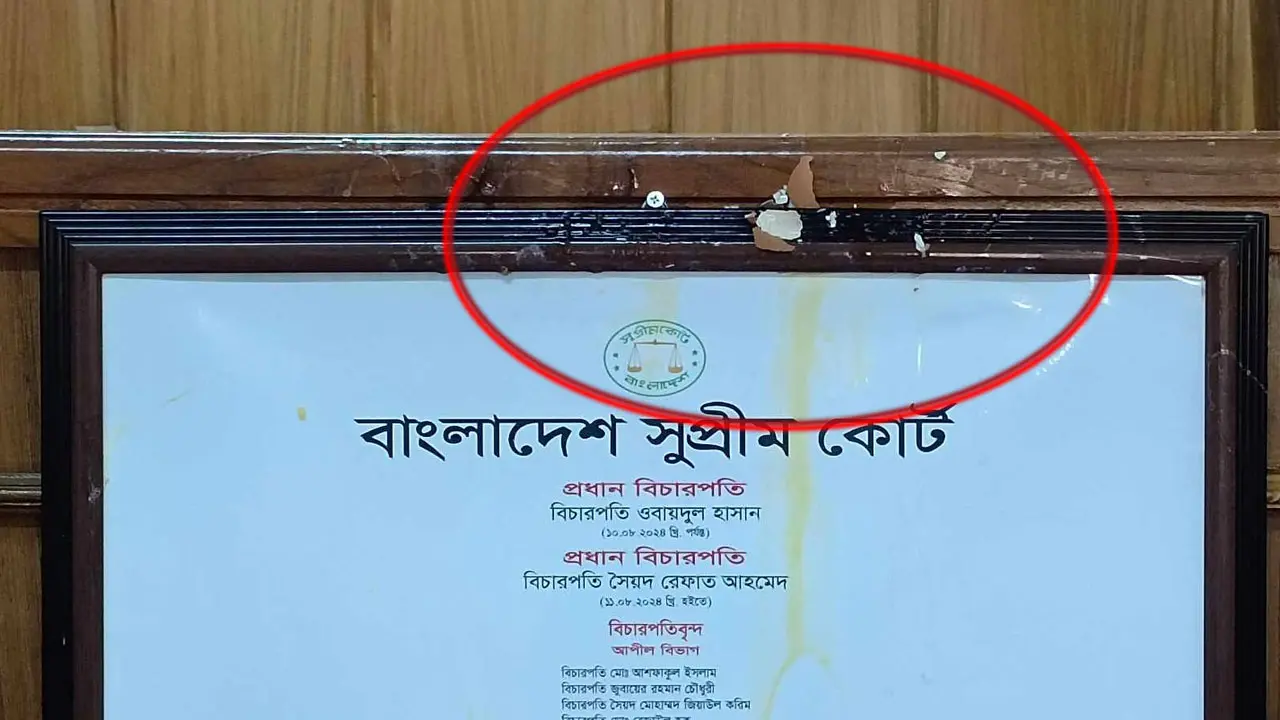 জিয়াউর রহমান নিয়ে মন্তব্য: বিচারপতিকে ডিম ছুঁড়ে মারলেন আইনজীবীরা