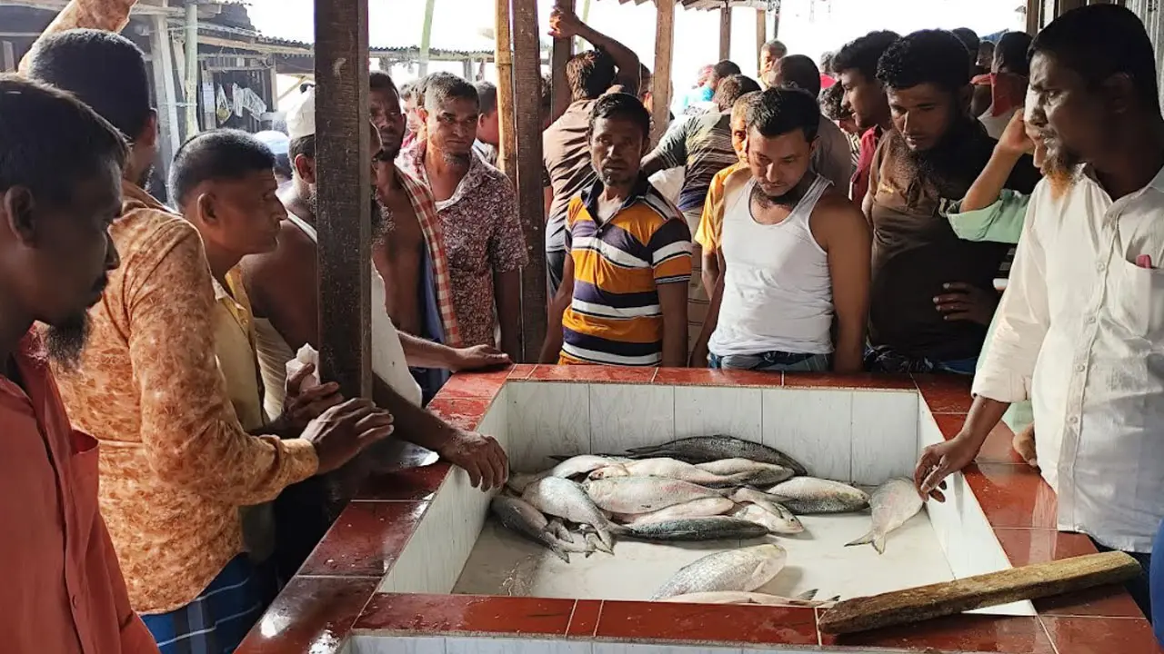 হাসিমুখে ইলিশ শিকারে গিয়ে হতাশা নিয়ে ফিরছেন জেলেরা 