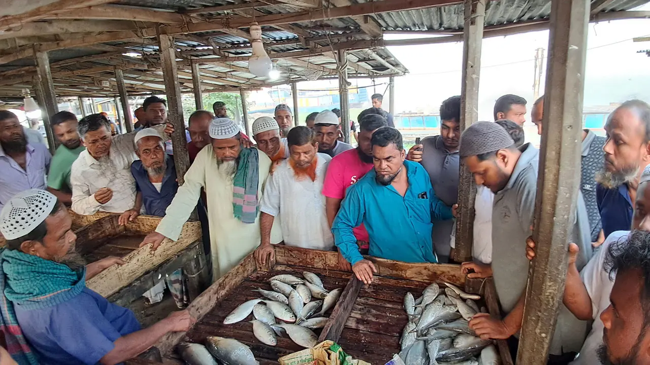 চাঁদপুরে ক্রেতা-বিক্রেতায় সরগরম ইলিশের আড়ত