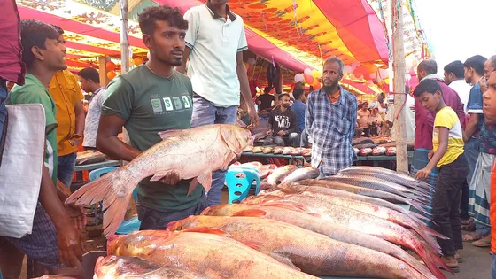 নবান্নে মাছের মেলা, জমজমাট কেনাবেচা