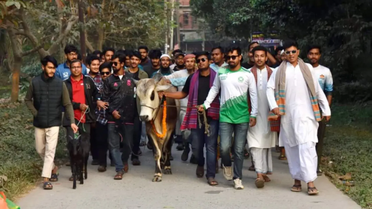 স্বৈরাচারের পতন : জাবিতে গরু-খাসি জবাই করে আনন্দ-উল্লাস