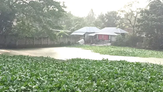 এখনো জলাবদ্ধ শ্রীপুরের ১৫ পরিবার, বাড়ছে পানিবাহিত রোগ