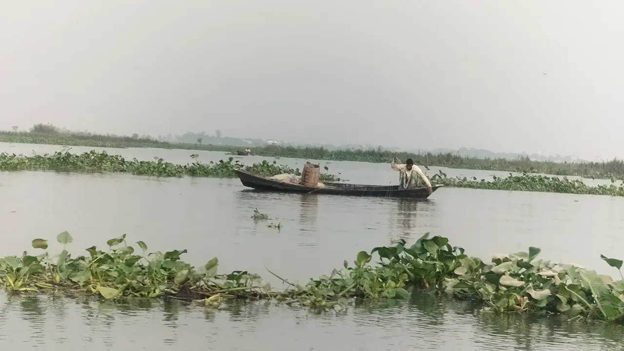 ব্যাটারিচালিত ‘শক মেশিন’ দিয়ে মাছ শিকার, জীববৈচিত্র্যে হুমকি