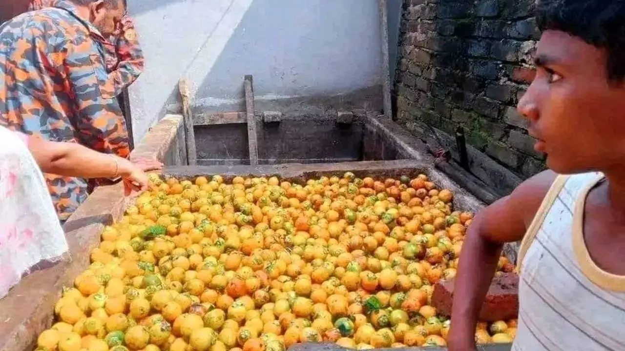 চট্টগ্রামে সুপারি রাখার গর্তে নেমে ২ ভাইয়ের মৃত্যু