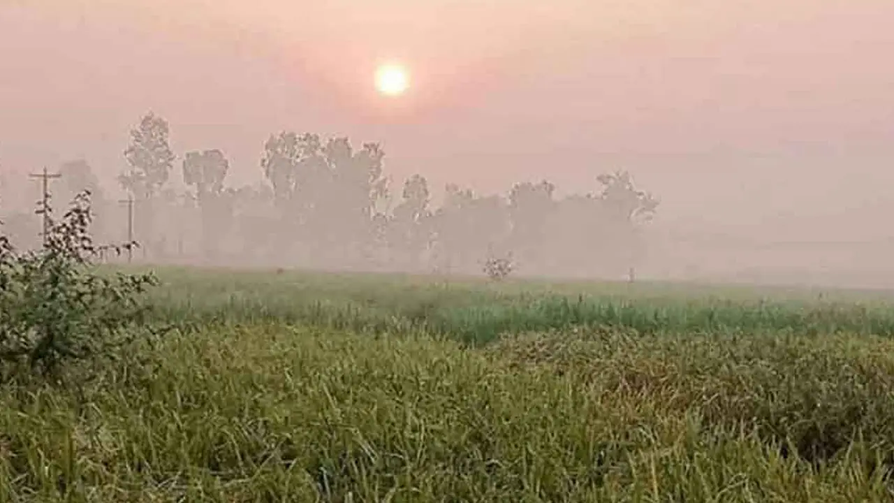 শীত নিয়ে যা জানাল আবহাওয়া অফিস