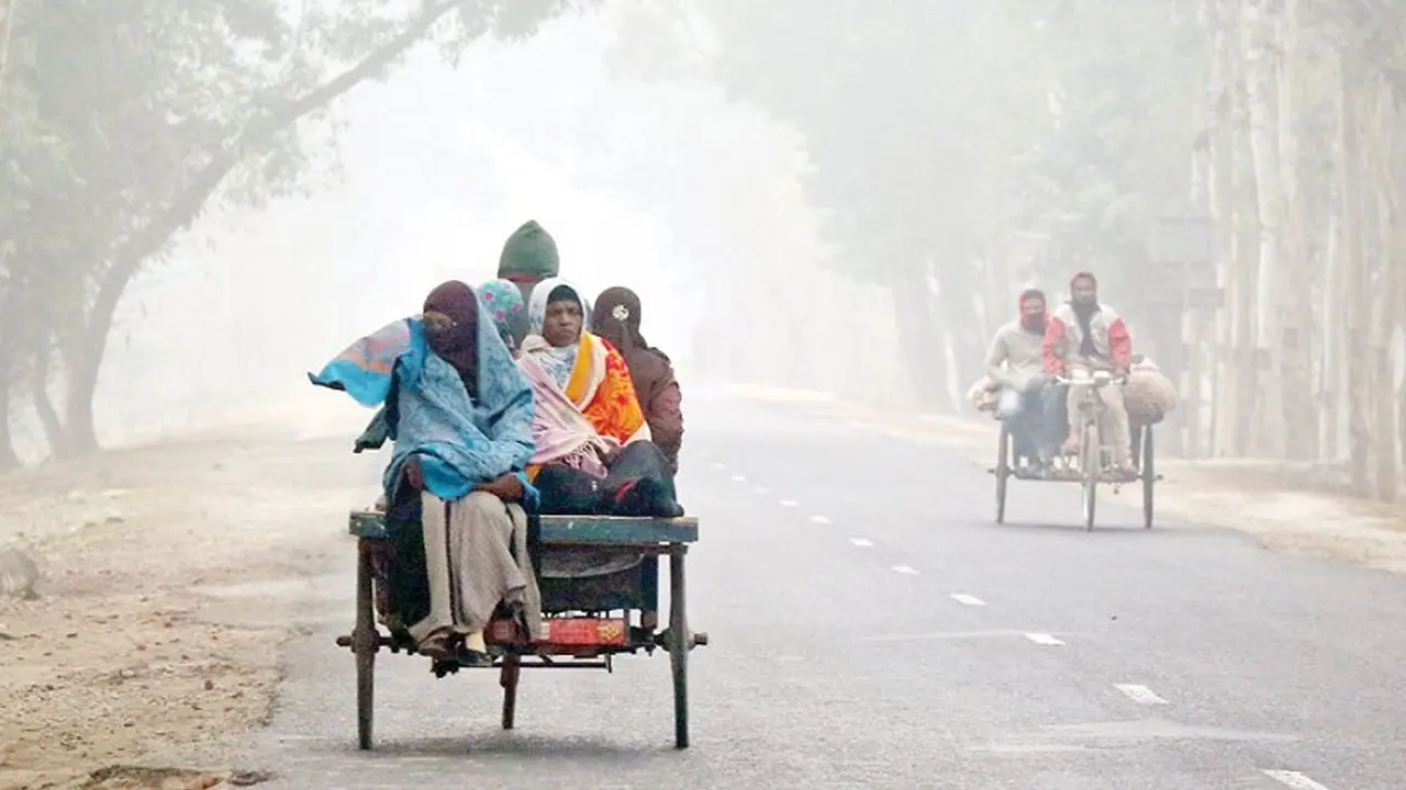 ডিসেম্বরের মাঝামাঝিতে ‘শৈত্যপ্রবাহ’ আসছে