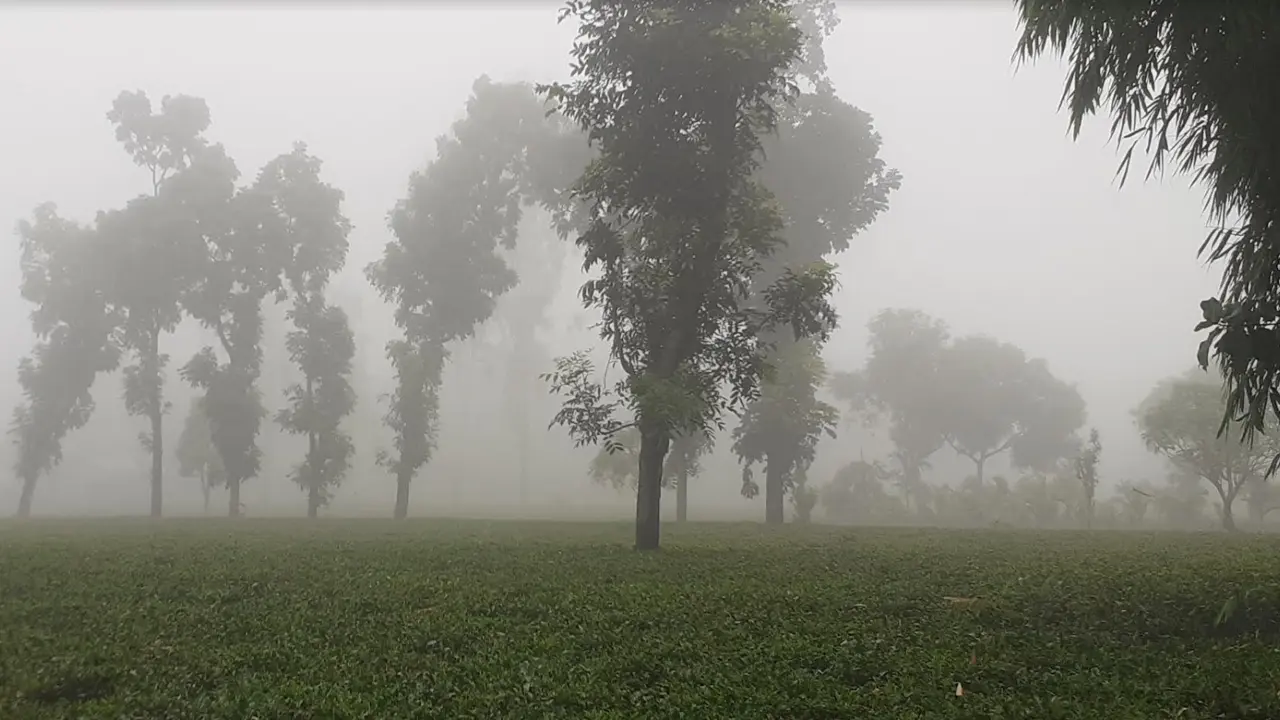 পাঁচ দিনের মধ্যে কমতে শুরু করবে রাতের তাপমাত্রা