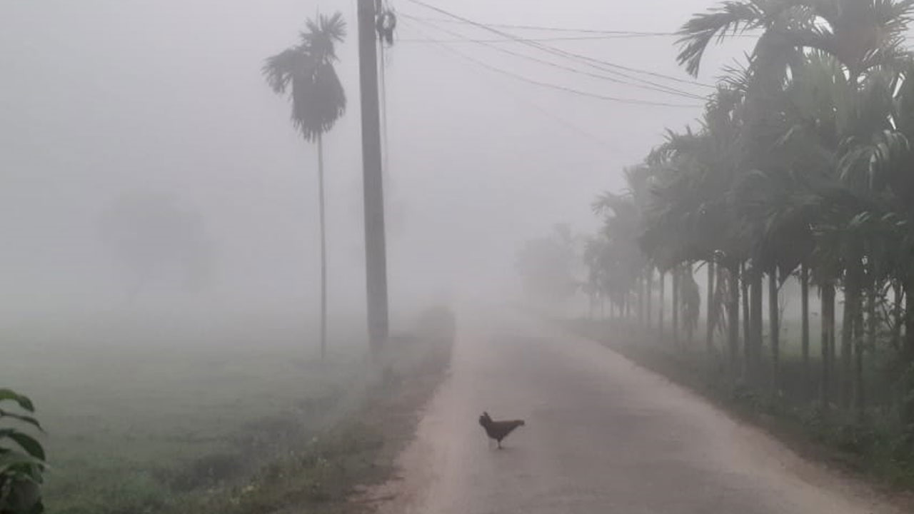 dhakapost