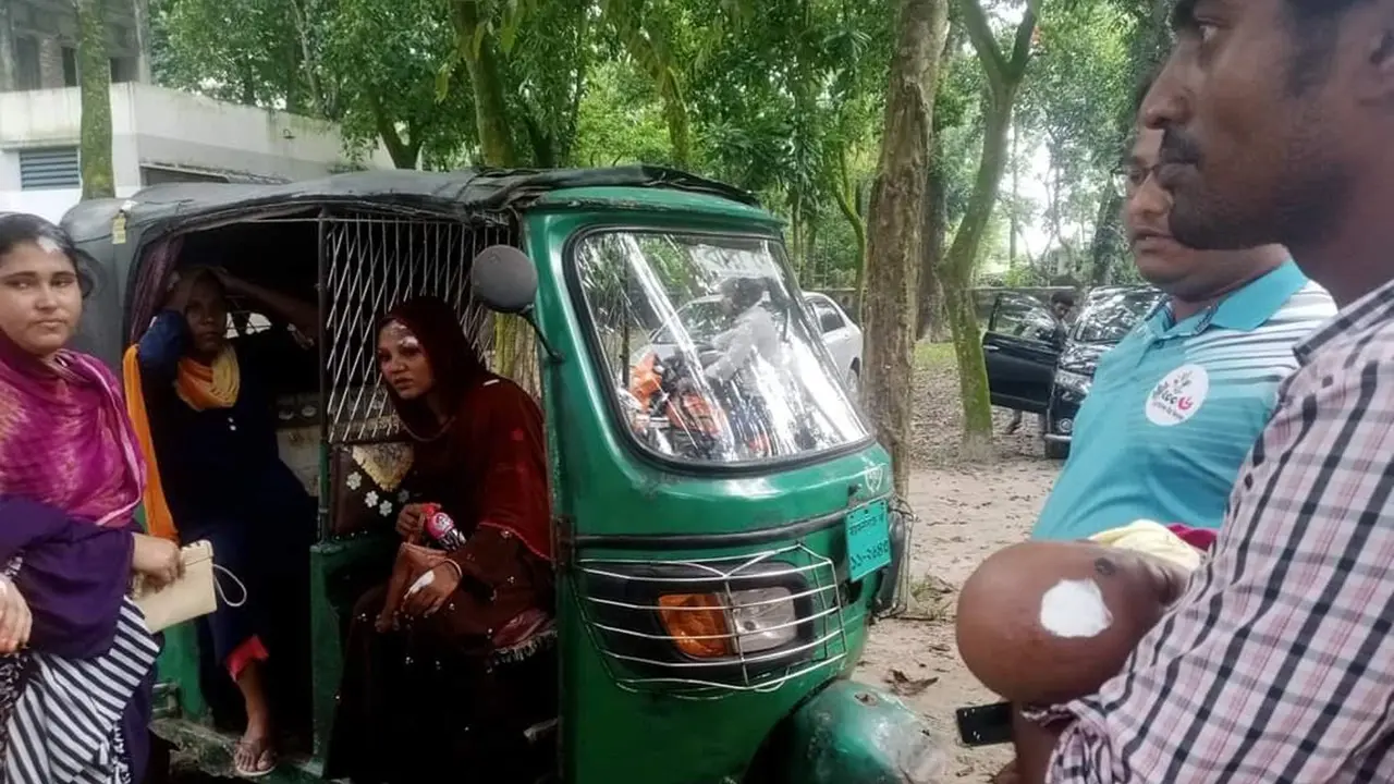 ময়মনসিংহে ভিমরুলের কামড়ে নারী-শিশুসহ আহত ৩০