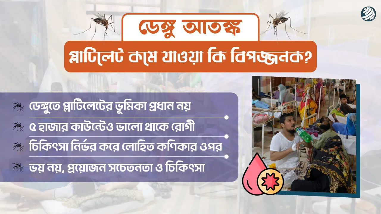 প্লাটিলেট নিয়ে ভয় : যা বলছেন বিশেষজ্ঞরা