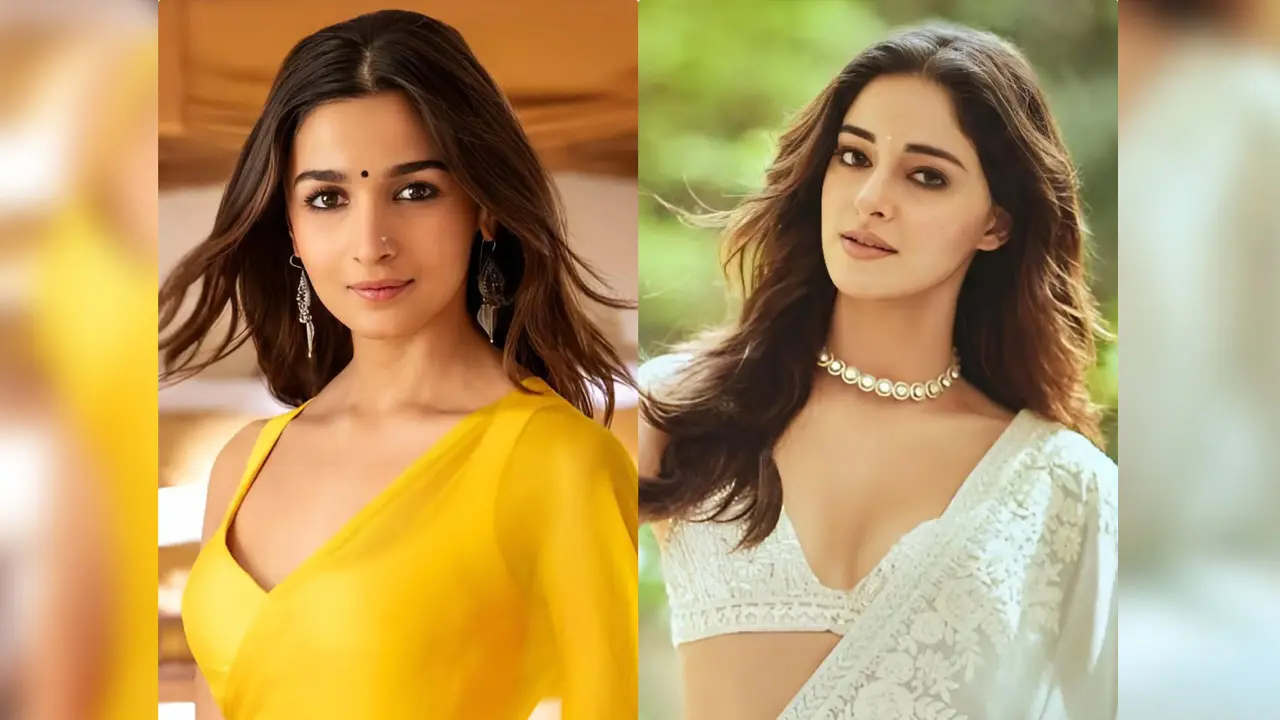 আলিয়া যেখানে পৌঁছেছে তা ছুঁতেও পারব না : অনন্যা