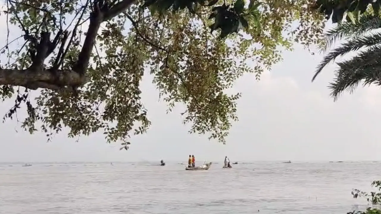 তেঁতুলিয়া নদীতে কোনোভাবেই থামানো যাচ্ছে না মা ইলিশ শিকার