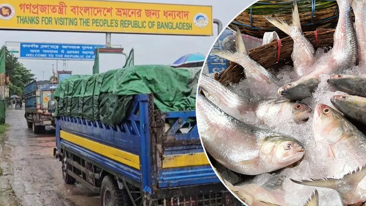 দুর্গাপূজা ঘিরে শেষমেষ ভারতে গেল ২২ ভাগ ইলিশ