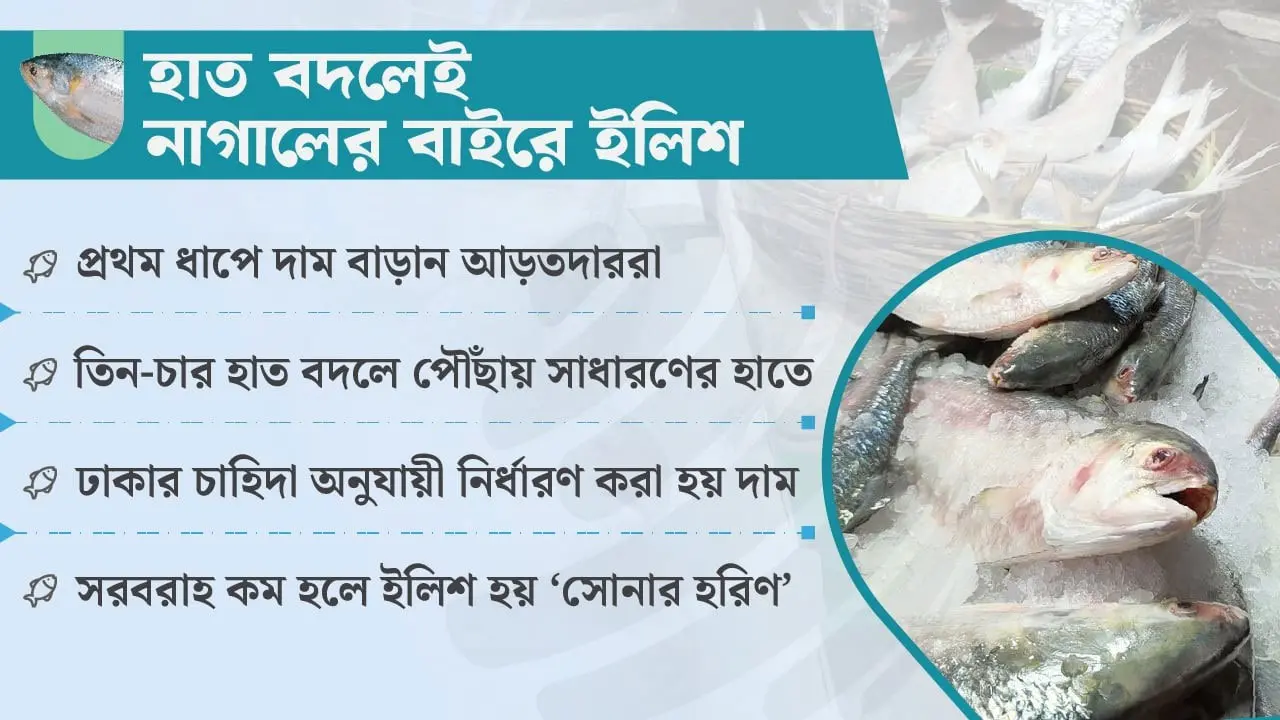 মোকামের চাহিদায় নির্ধারণ হয় ইলিশের দাম