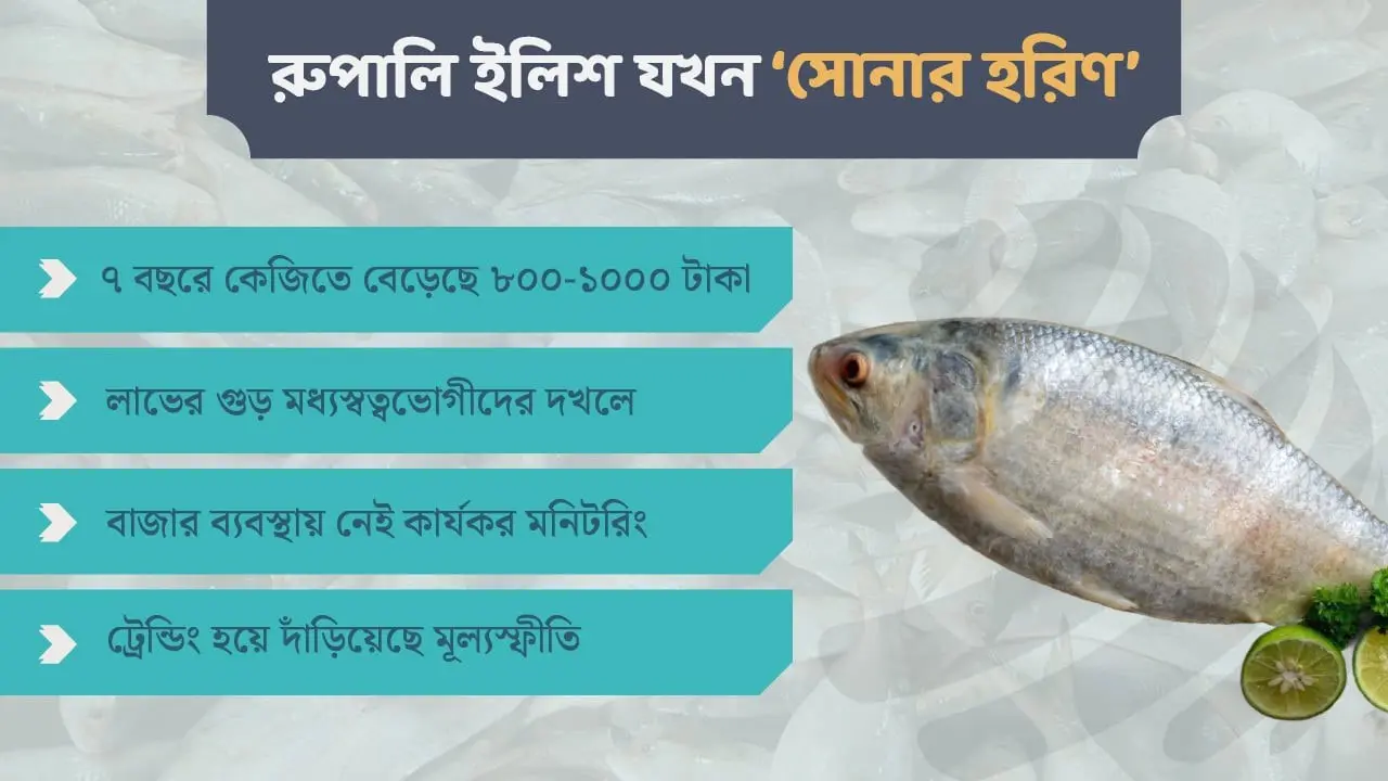 ইলিশের বাজারে ‘অকার্যকর’ অর্থনীতির সূত্র