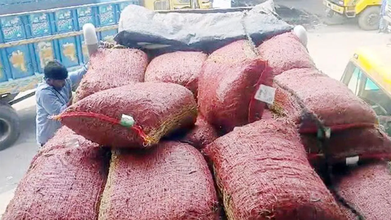 দুই দিনে ভারত থেকে এলো ৫৯৩ টন কাঁচামরিচ