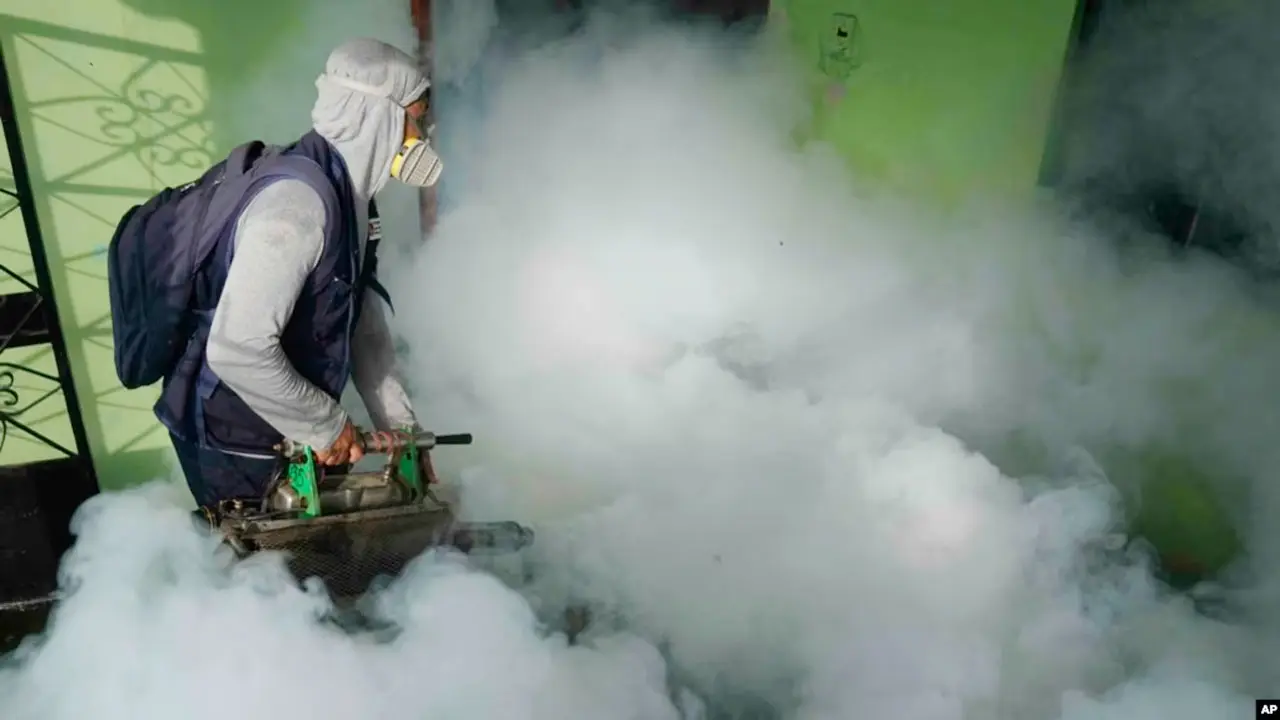 ডেঙ্গুর বিস্তার রোধে বৈশ্বিক পরিকল্পনা ঘোষণা ডব্লিউএইচও’র