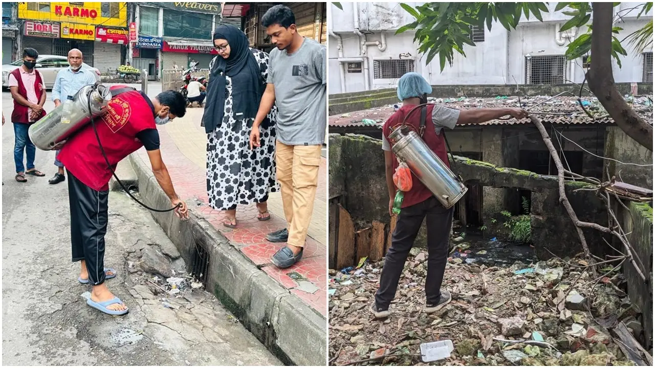 মশা নিধনে ডিএসসিসির ৩৭ ওয়ার্ডে চিরুনি অভিযান
