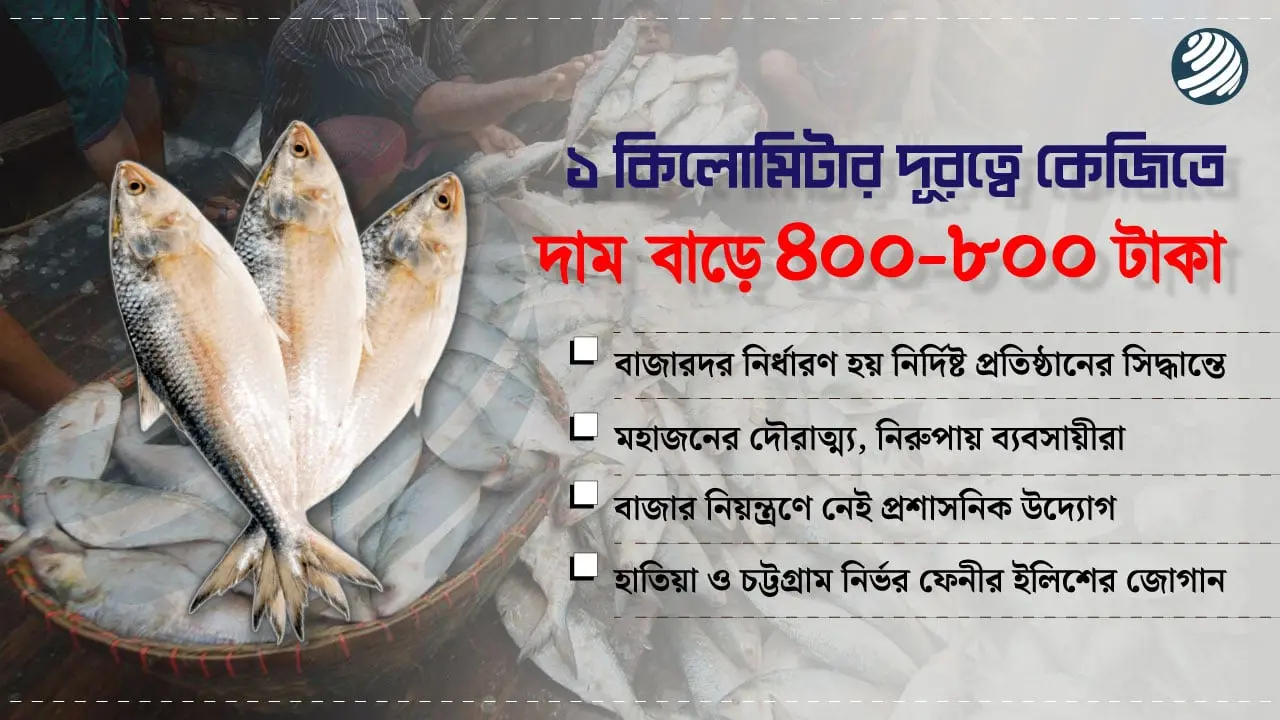 সিন্ডিকেটে বন্দি ইলিশের বাজার, নিয়ন্ত্রণ করবে কে?