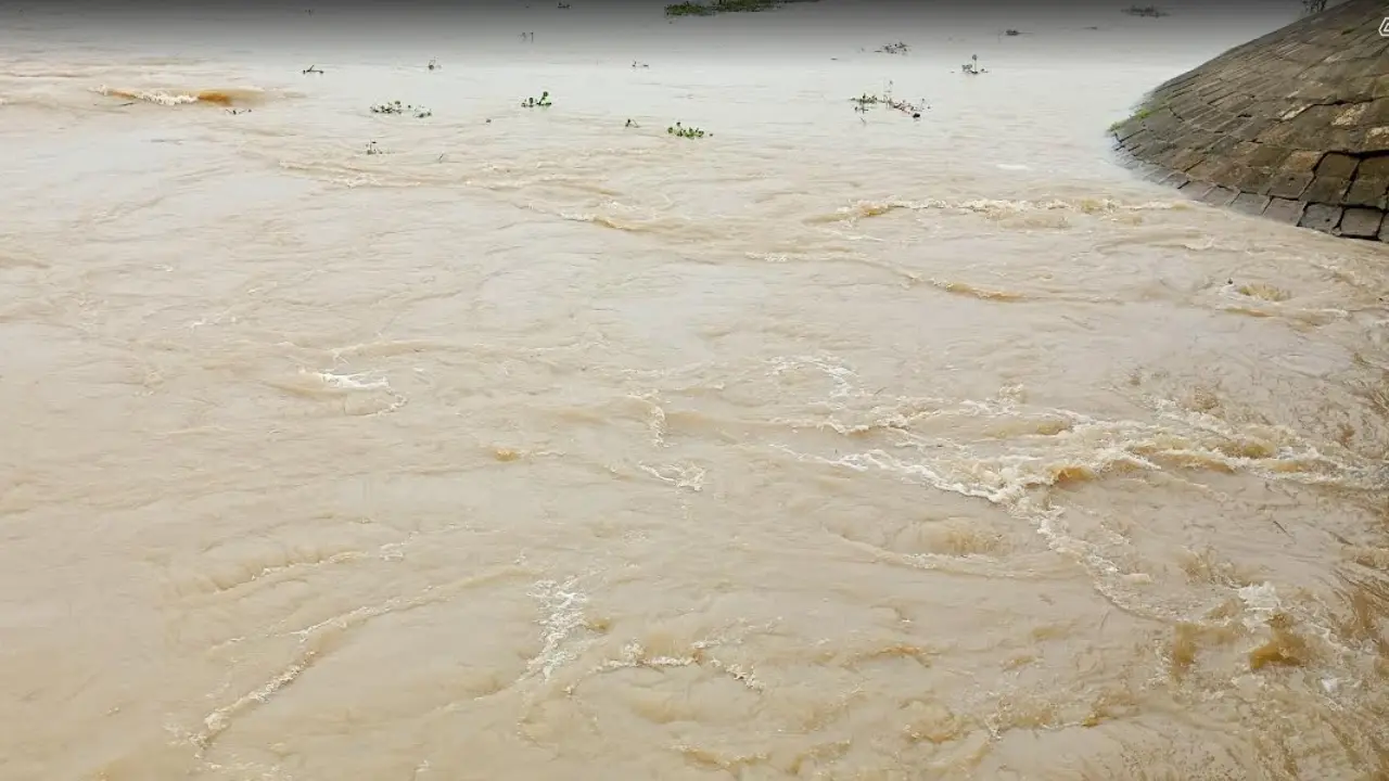 নেত্রকোণায় বাড়ছে নদ-নদীর পানি, বন্যার শঙ্কা 