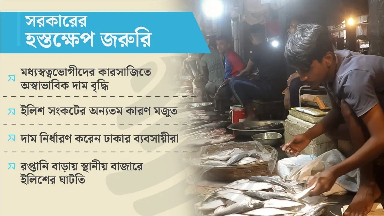 ‘ইলিশের নাম শুনলেই ভয় লাগে’