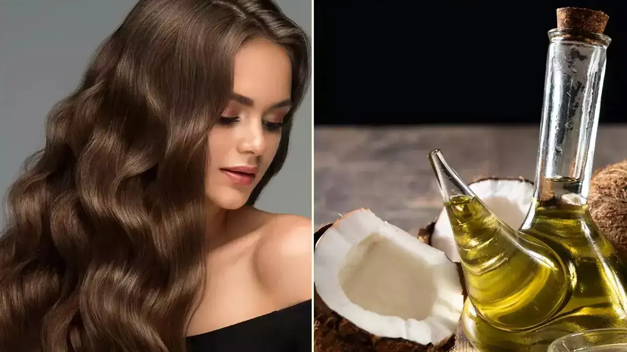 চুলের যত্নে নারকেল তেল না অলিভ অয়েল?