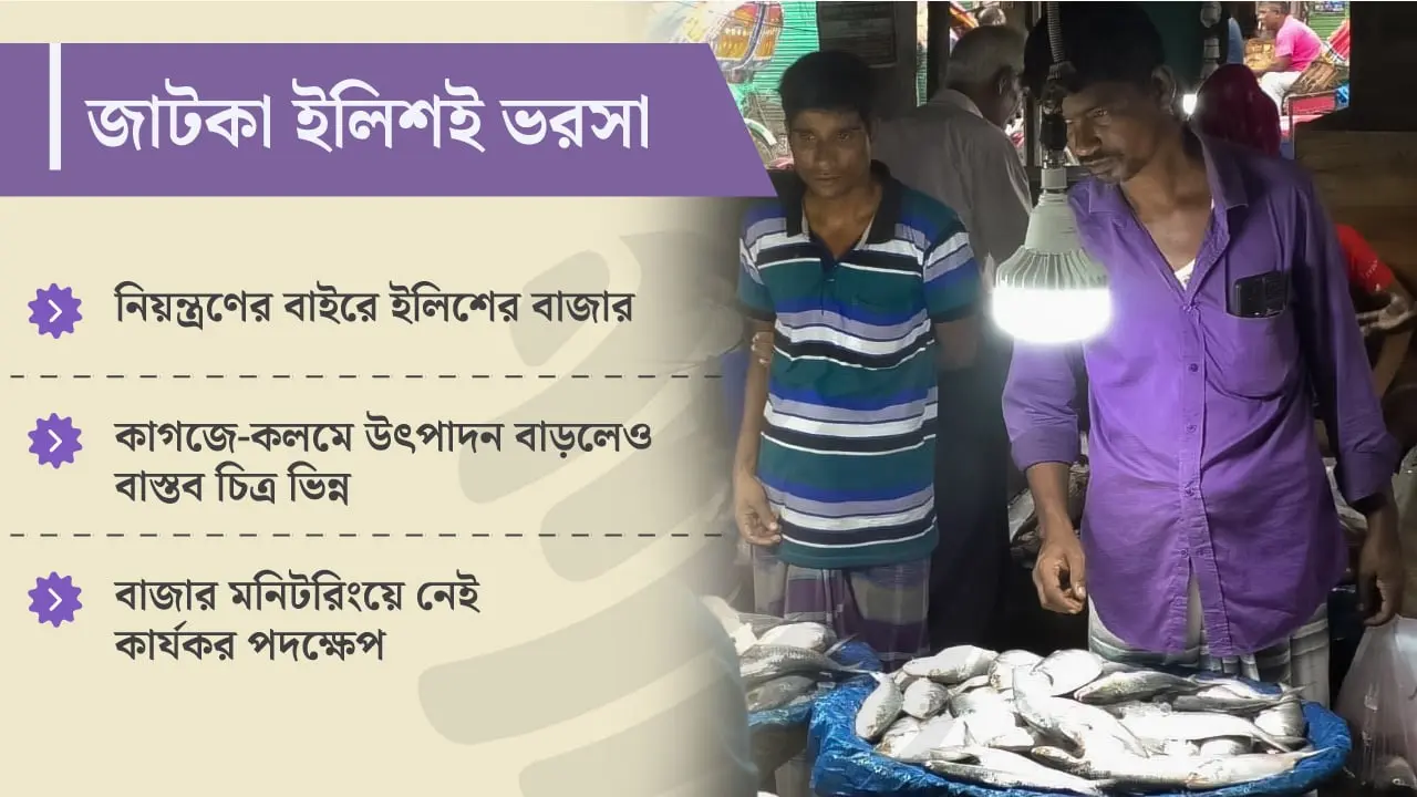 বড় ইলিশের দাম শুনে ছোটতেই সান্ত্বনা
